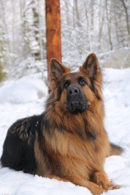 Chatfield Veterinary Hospital