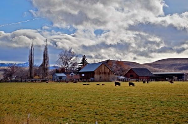 Ranch in the Carson Valley