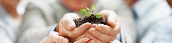 Gold Country Garden Consulting