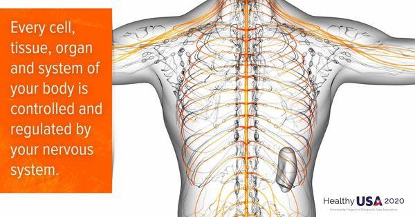 Back pain relief fast.