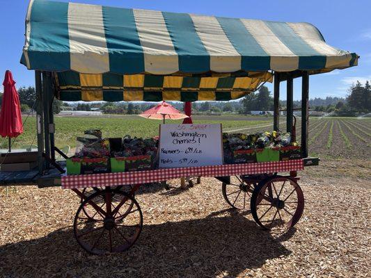 Cherries for sale
