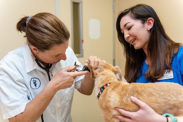 Merced Veterinary Clinic