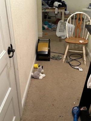 How my hallway was left a month after they fixed the leaky roof...