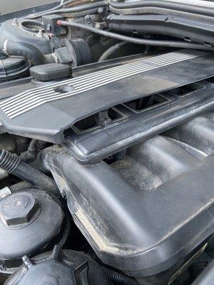 Blackbear Automotive