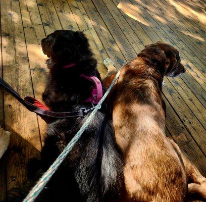 Buffalo Creek Brewing