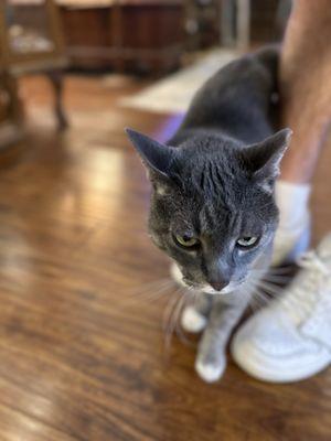 Main Street Antiques