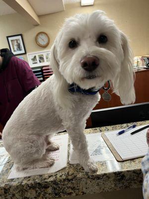 The office manager was very pleasant and professional and he wasn't even Ruff on the bill!