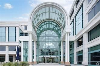 black orchid Management