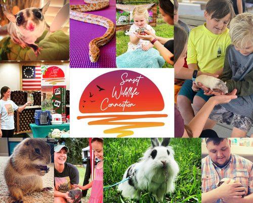 Sunset Wildlife Connection