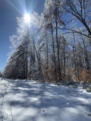 Grover Herrick Conservation Area Trail