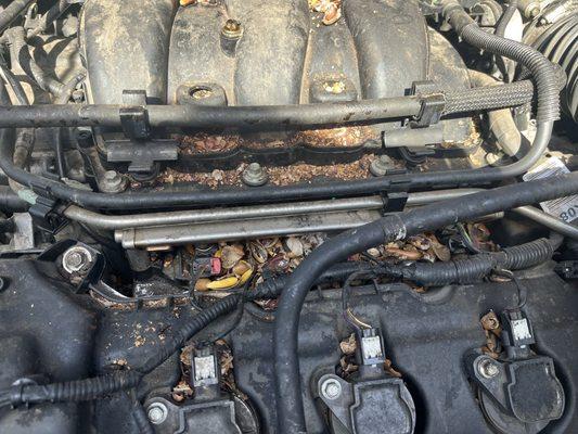 Envision Ford Lincoln