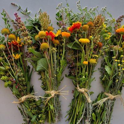 Grandpa Rossi's Garden