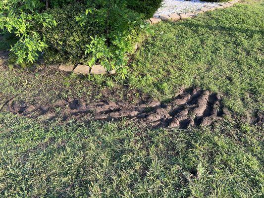 This is what they did to my yard