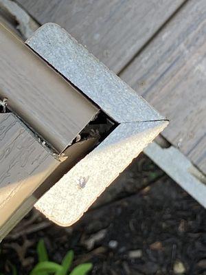 Elevated Contracting Solutions