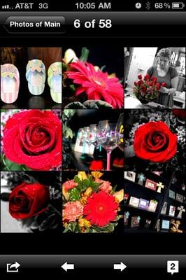 Gifts, Glory Haus, Mud Pie, etc.