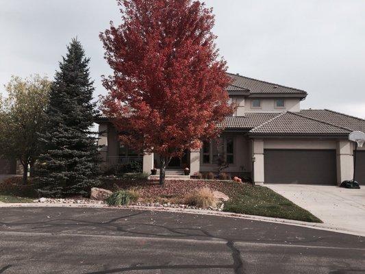 Terra Design & Landscape