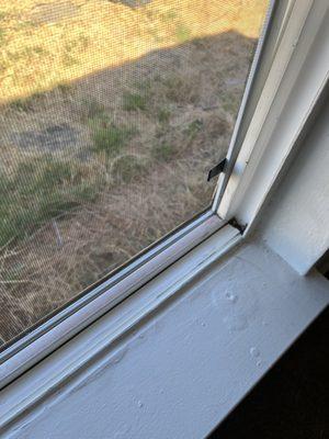 Roas Cleaning Services