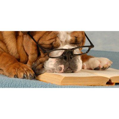 Healing Pets Mobile Veterinary Services