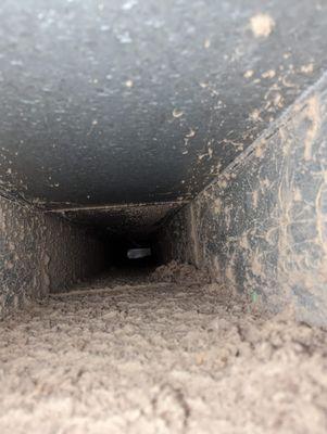 Another dirty Basement Trunk Line