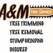 A & M Tree Service