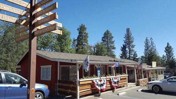 Dr Carol Berg, Dentistry in Idyllwild