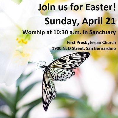 First Presbyterian Church