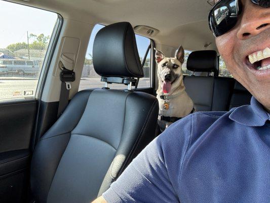 Happy dog getting picked up!