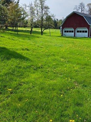 Hemlock Lake Lawn Care