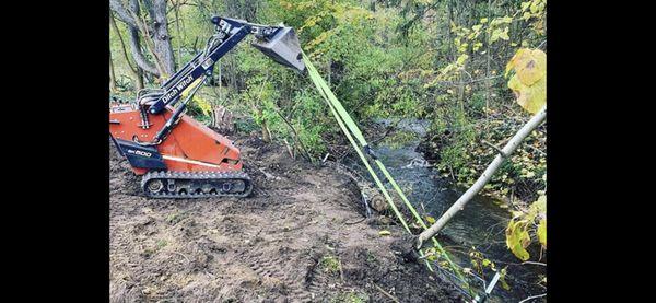 360 Tree Service & Clean up