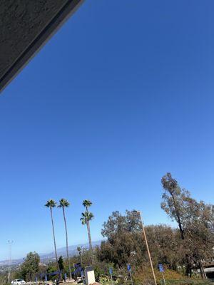 This is the view from my balcony