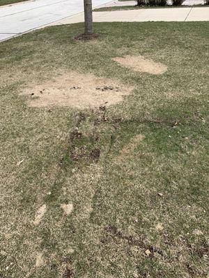 Intelligent Service: Plumbing, Heating, Cooling & Drain Cleaning