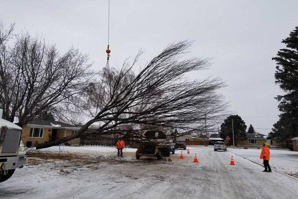 11 Bravo Property Services