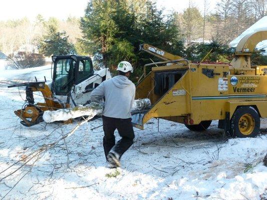 New England Tree Pros