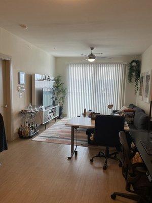 Standard Cleaning pro