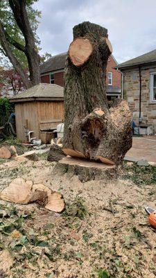 Machado Landscaping & Tree Services