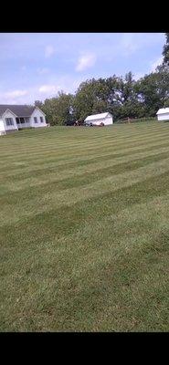 S&A Landscaping And Handyman