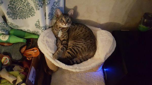 Riverside Veterinary Hospital