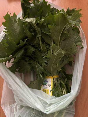 Lakeside Organic Gardens