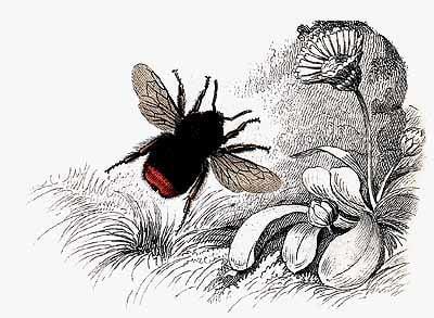 BeeKeeper Productions