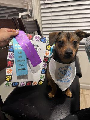 San Lorenzo Dog Training Club