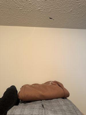 Northwest Woods Apts