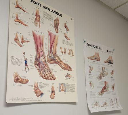 Henry Ford Medical Center - Woodhaven