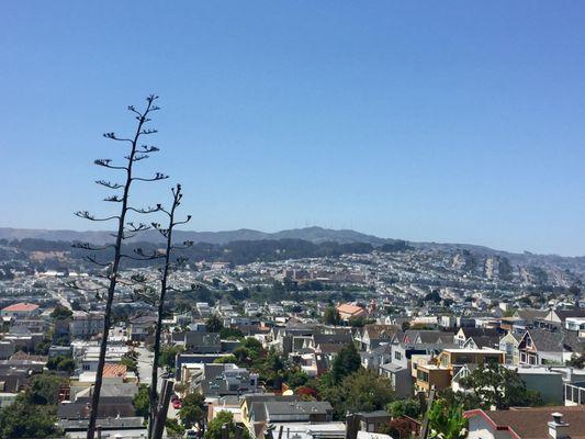 Real Estate Buying and Selling in the Great Bay Area and Peninsula * Property Management * Financial Consulting * Notary Public