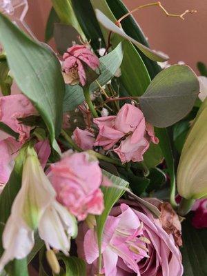 Renaissance Floral Gallery