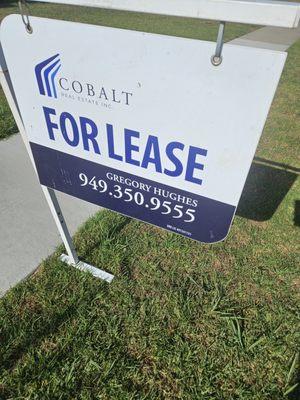 Matt Haven - Cobalt Real Estate