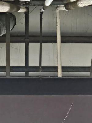 Revelation Pressure Washers