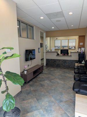 The Dental Extraction Clinic