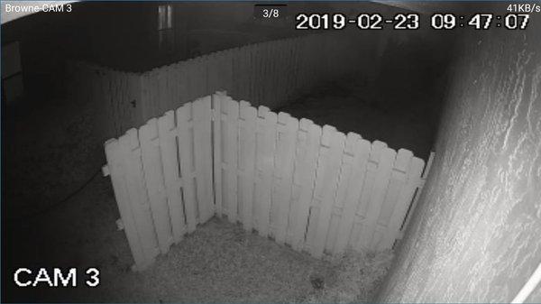 Forrest Installation