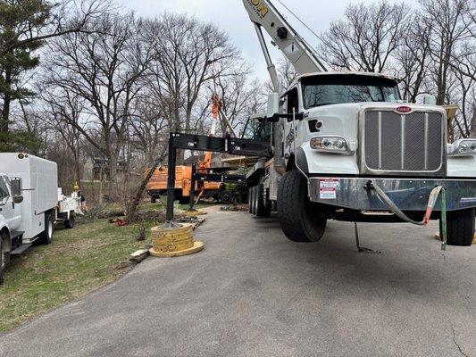 Steimel Tree Service