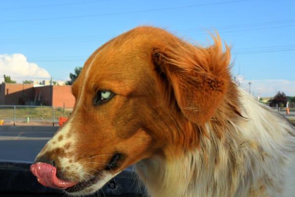 Chiropractic Wellness Center